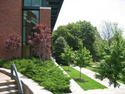 Student Union