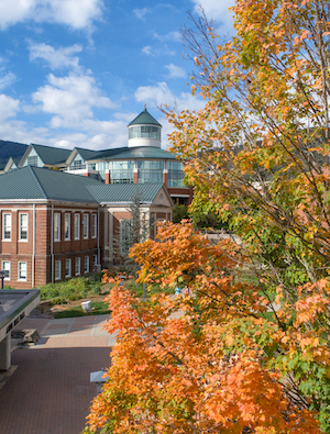 Campus view during spring